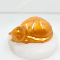 Sleeping Cat - Orange