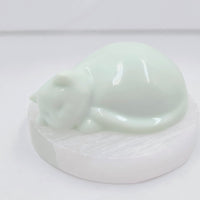 Sleeping Cat - Mint Green