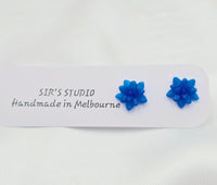 Resin Succulent Earrings - Blue Star